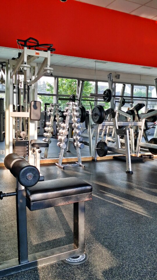 Sporty fitness gym