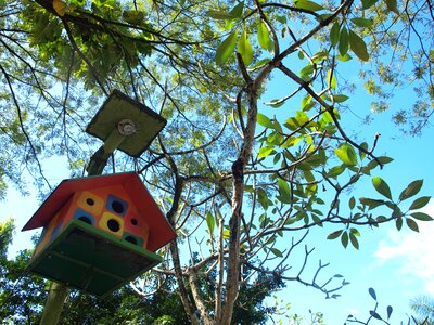 Decoration garden habitat