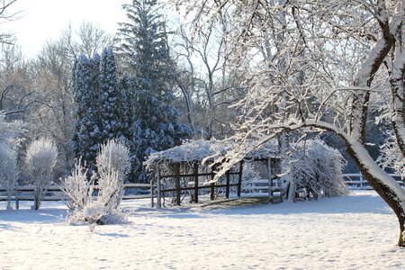 Season nature landscape