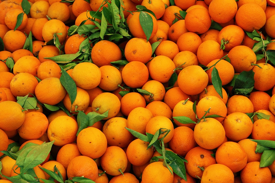 Color food fresh