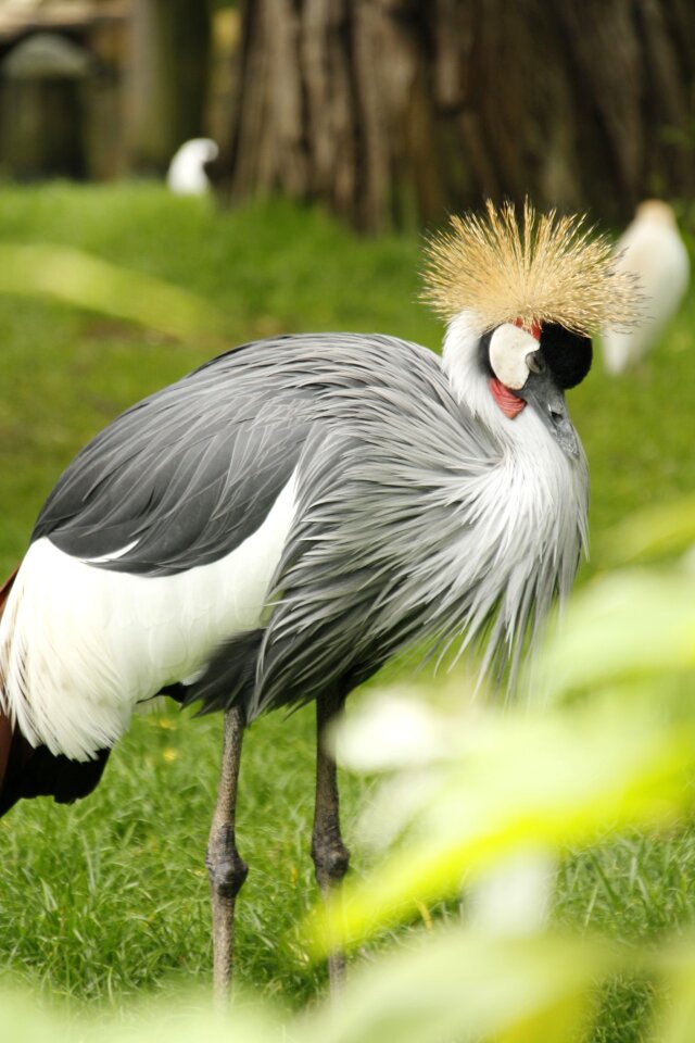 Zoo wildlife animal