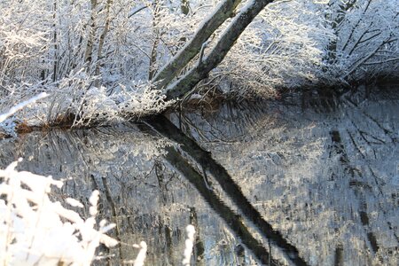 Ice season frost photo