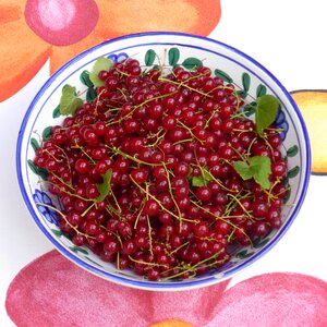 Fruits soft fruit sour