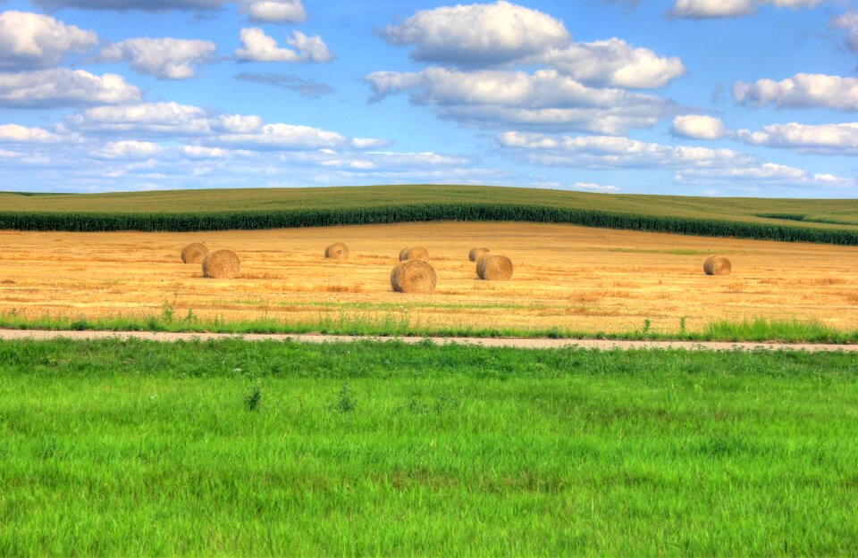 Landscape scenic farm