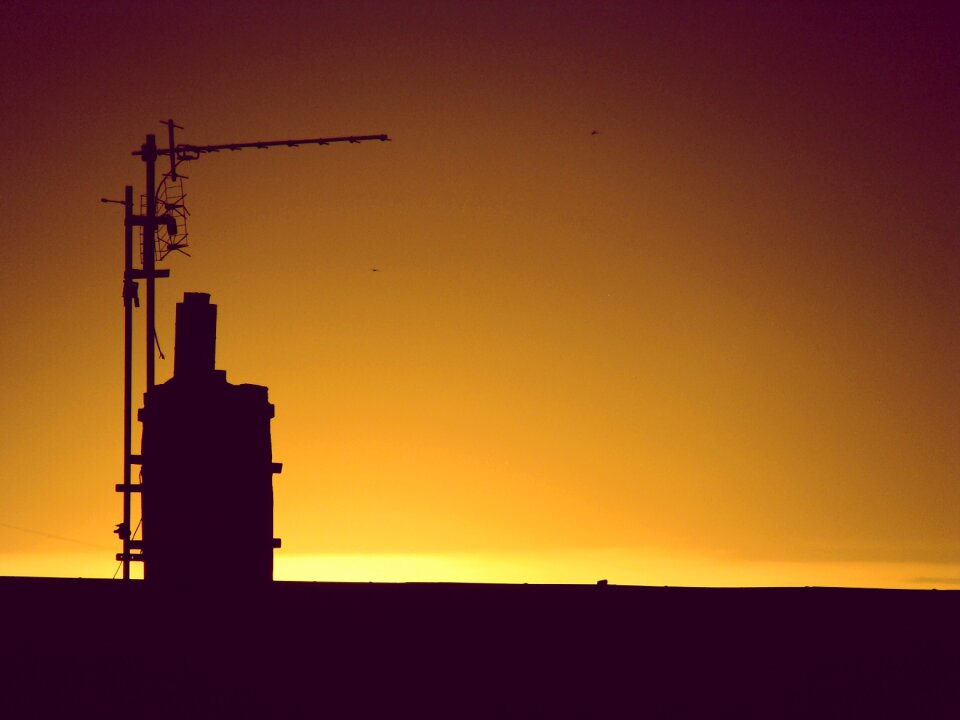 Evening the sun light