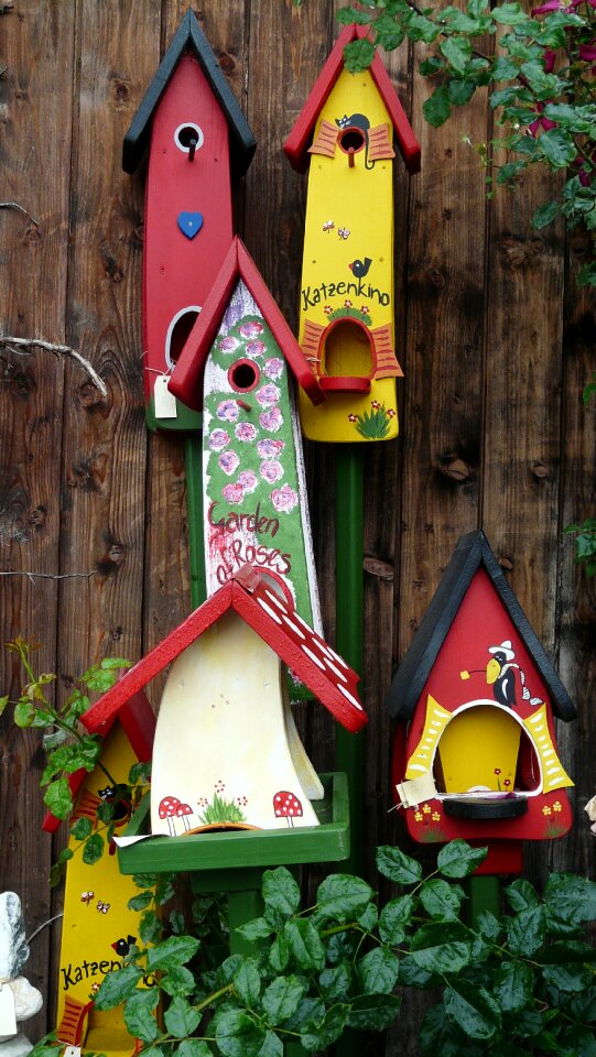 Colorful bird feeder color