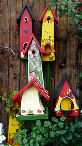 Colorful bird feeder color