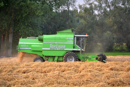 Harvest grain agriculture photo