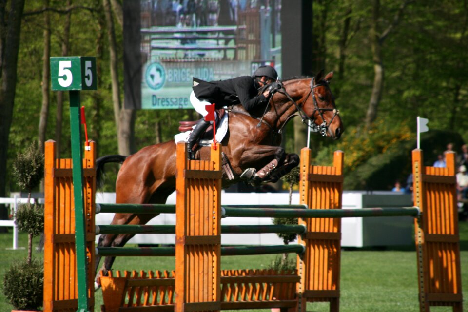 Horseback riding competition jumper