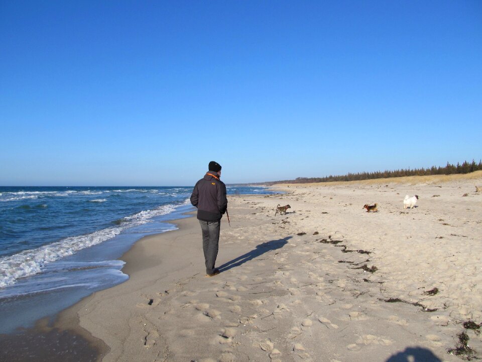 Sand beach nature relax