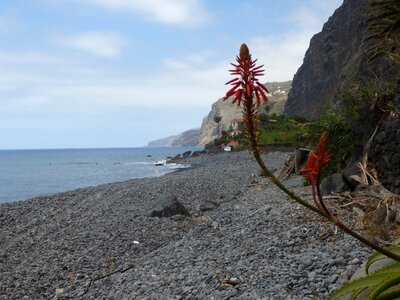 Madeira rock coast line photo