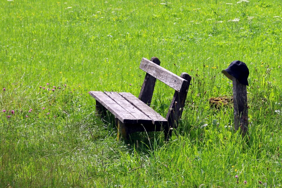 Sit rest nature photo