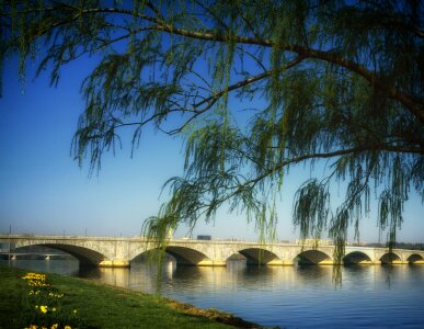 Architecture trees shore