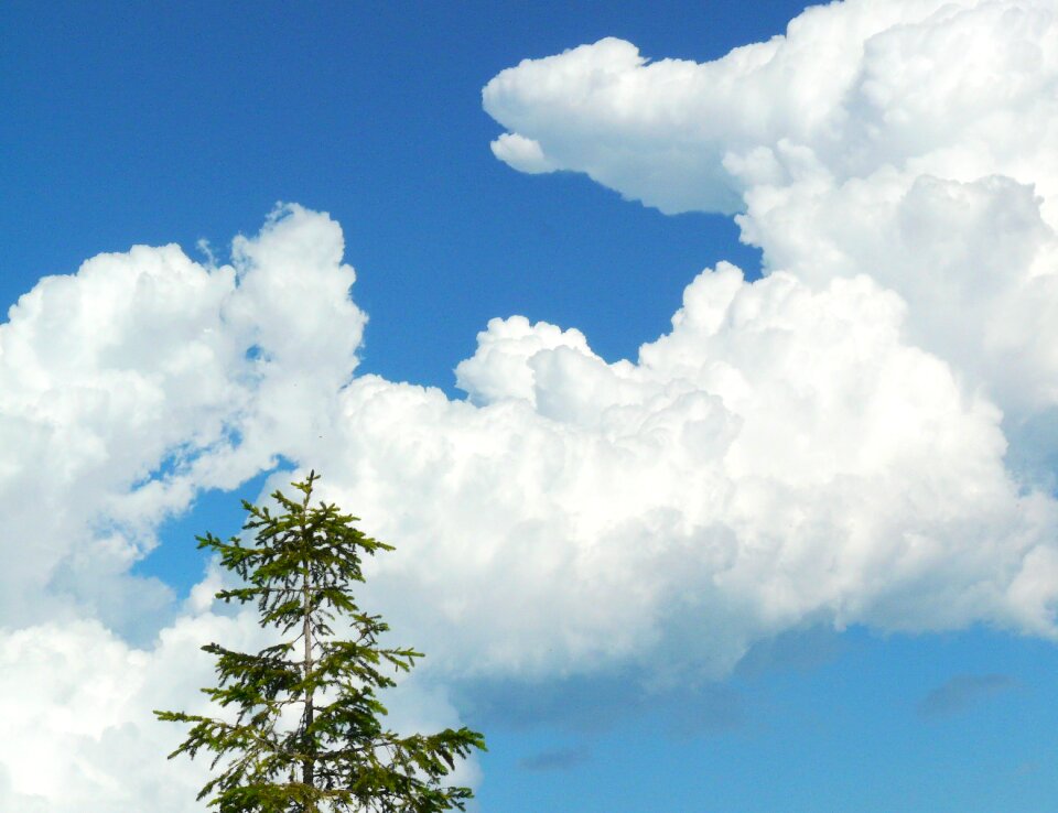 Sky blue clouds form