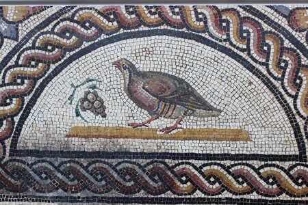 Vestige archaeology st-roman-en-gal