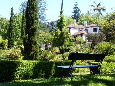 Rest botanical garden madeira