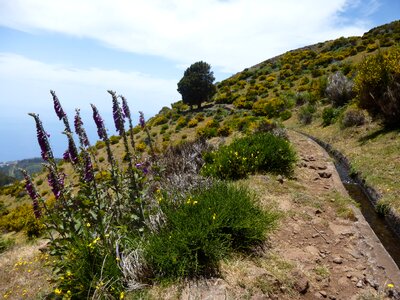 Away hiking mountains