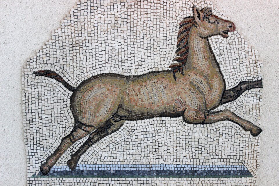 Vestige archaeology horse