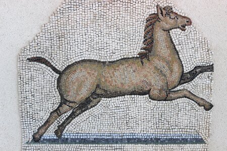 Vestige archaeology horse