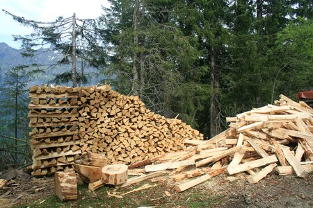 Timber industry environment photo