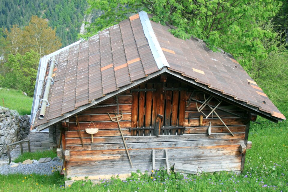 Alps switzerland alpine