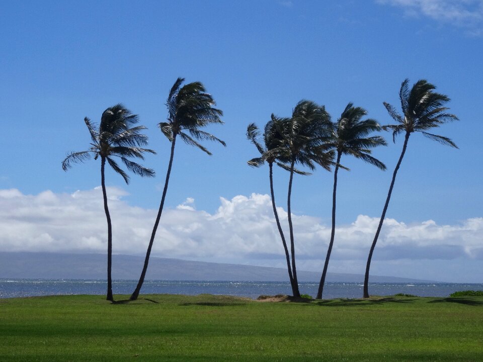 Wanderlust molokai nature