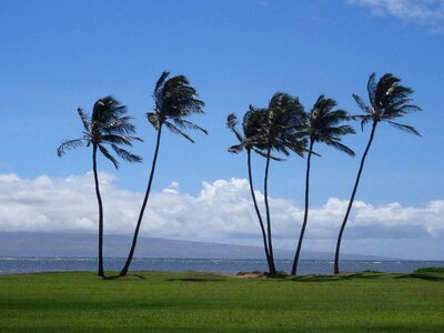 Wanderlust molokai nature