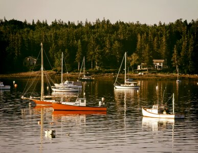 Boats ships forest photo