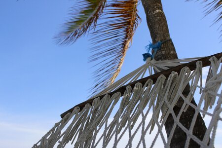 Beach hammock break photo