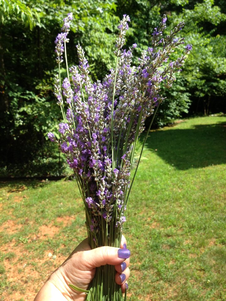 Summer flowers aroma