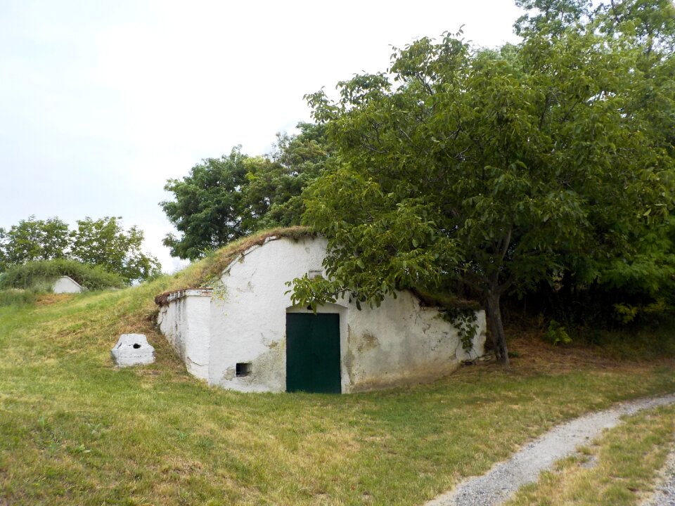 Inhospitable abandoned nature