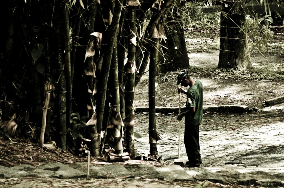 Man sweeping bamboo