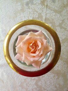 Love vintage romantic