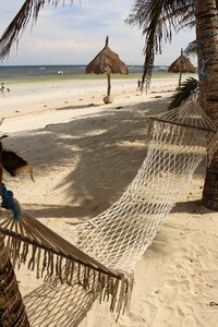 Hammock beach sea photo