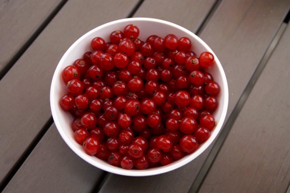 Fruit red red currant