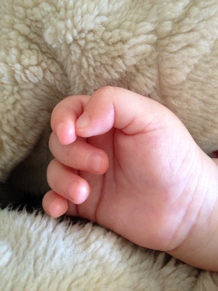 Baby hand Free photos