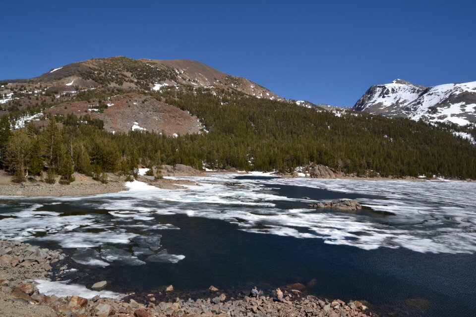 Mountains forest frozen