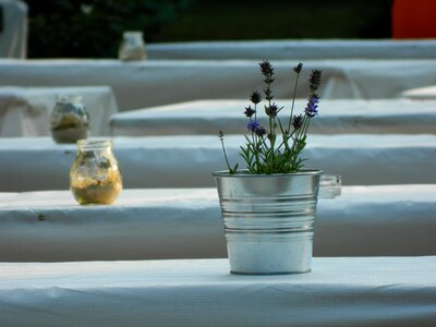 Flower table summer photo