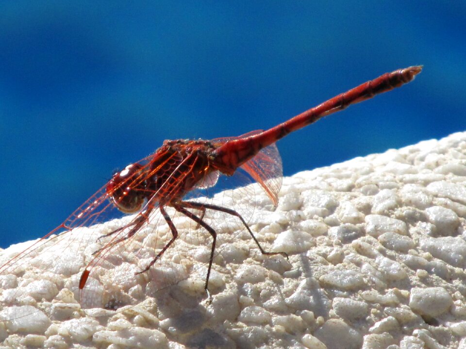 Close up transparent water