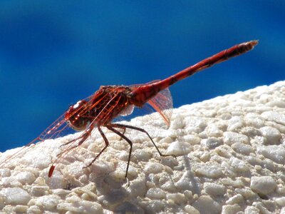 Close up transparent water