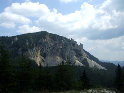 Transylvania nature forest photo