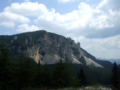 Transylvania nature forest