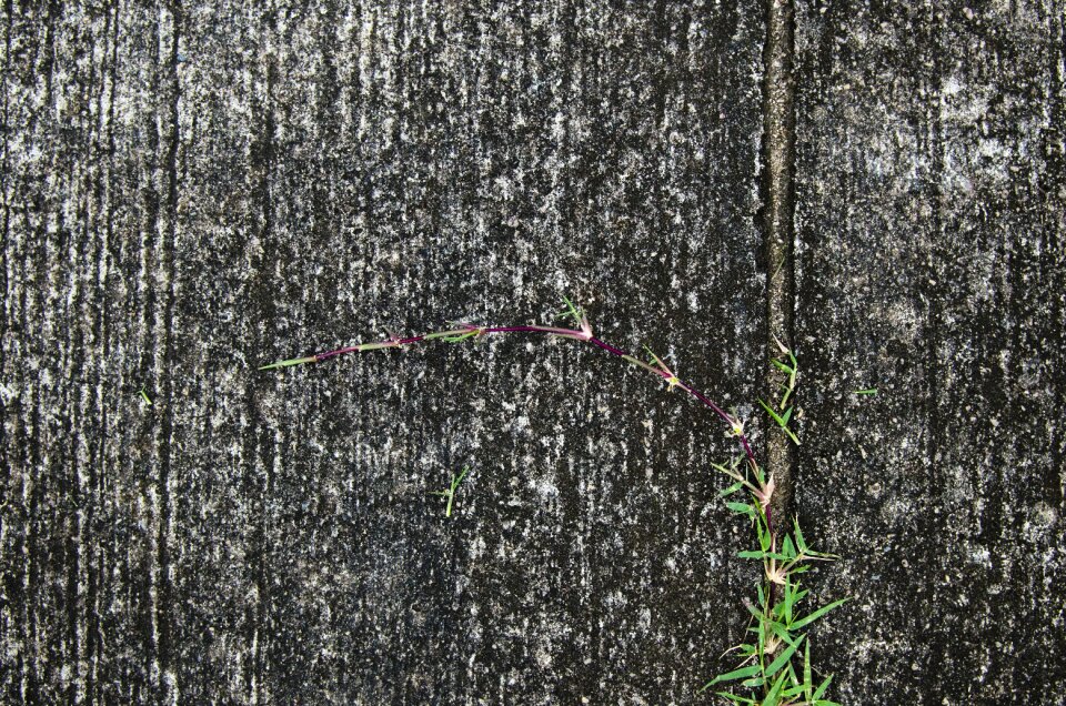 Life ground sidewalk