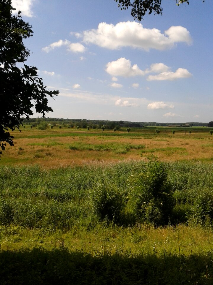 Silence clouds polder