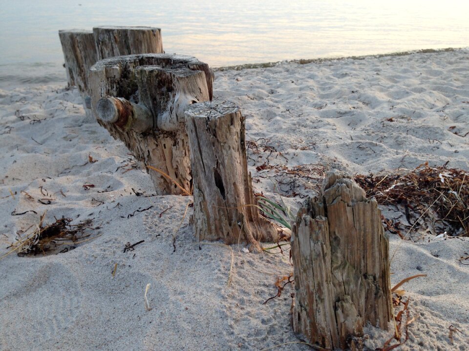 Trunk sand beach