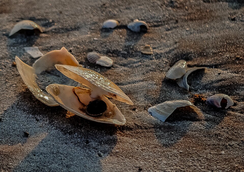 Nature close-up sand