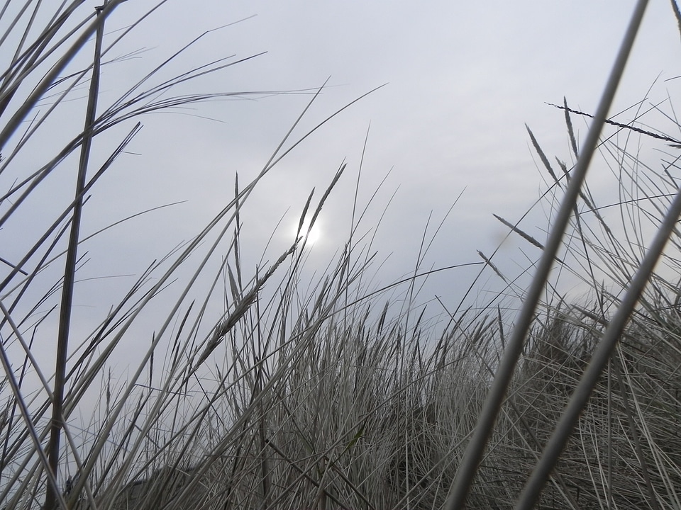 Sun nature landscape