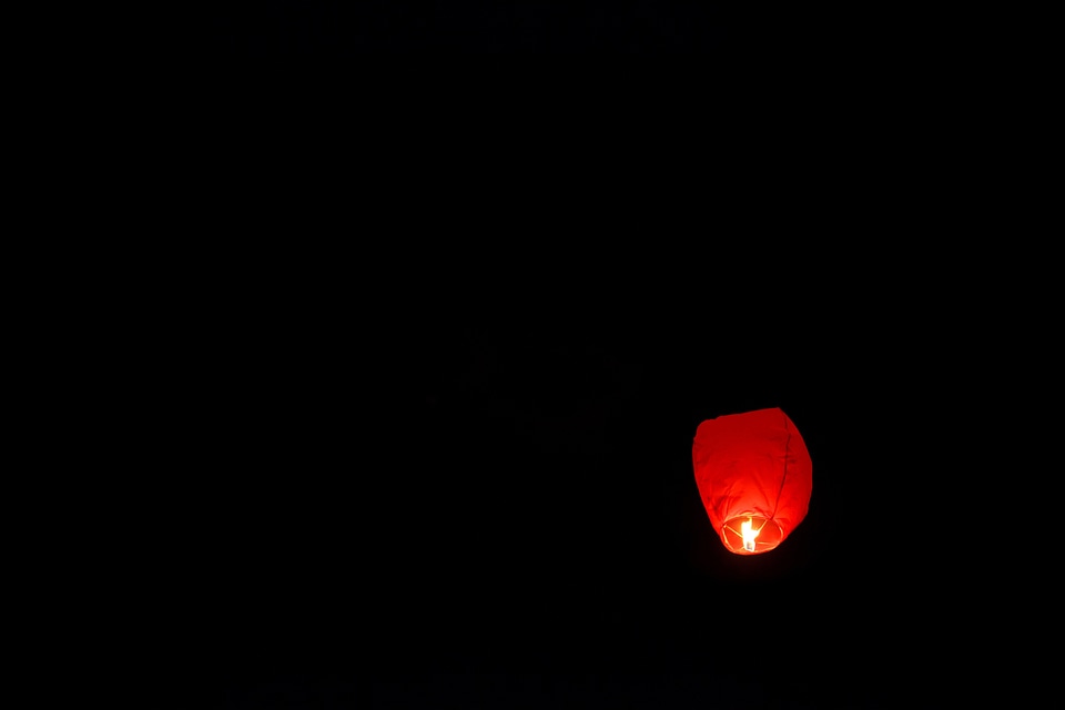 Celebration fire firework