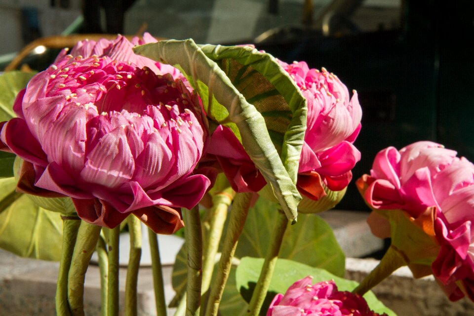 Decoration plastic pink