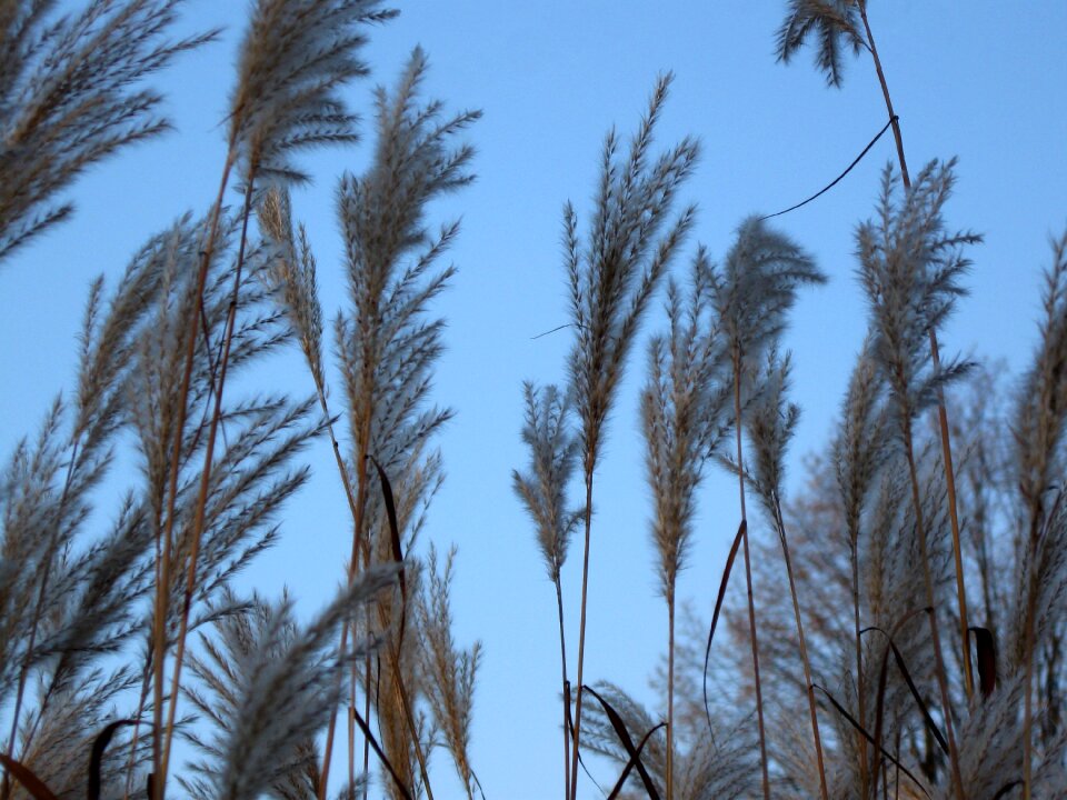 Sky nature blue
